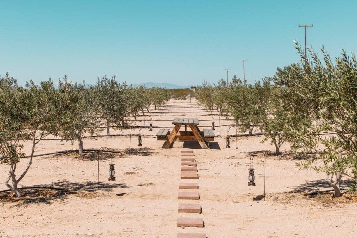 Farming in Joshua Tree