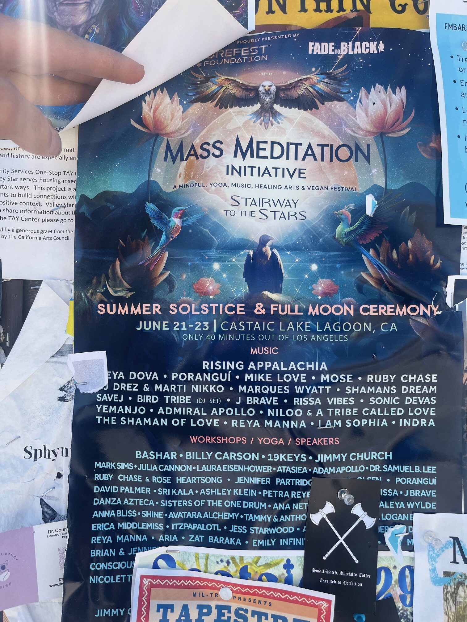 Mass Meditation Initiative – Stairway to the Stars Festival